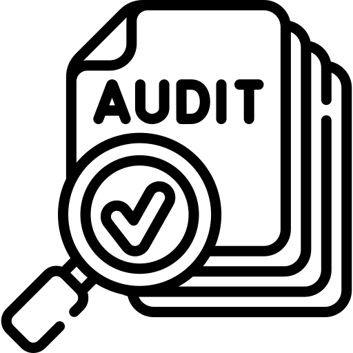 Audit image